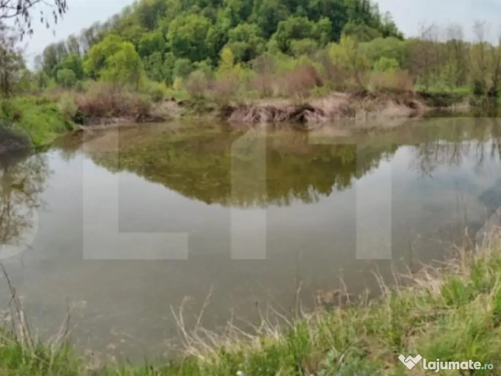 Teren extravilan, 12500mp, zona Gurghiu 