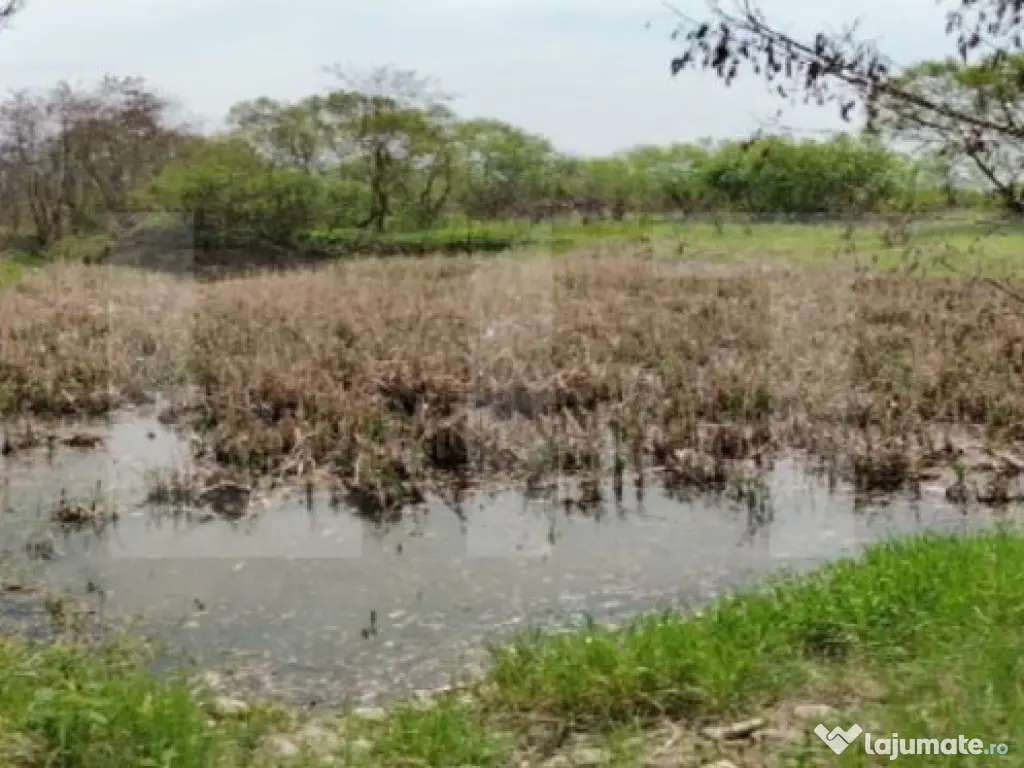 Teren extravilan, 12500mp, zona Gurghiu 