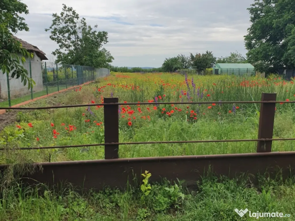 🔥 TEREN 3000 MP LÂNGĂ DUNĂRE + PĂDURE | DESCHIDERE DN31 🔥 