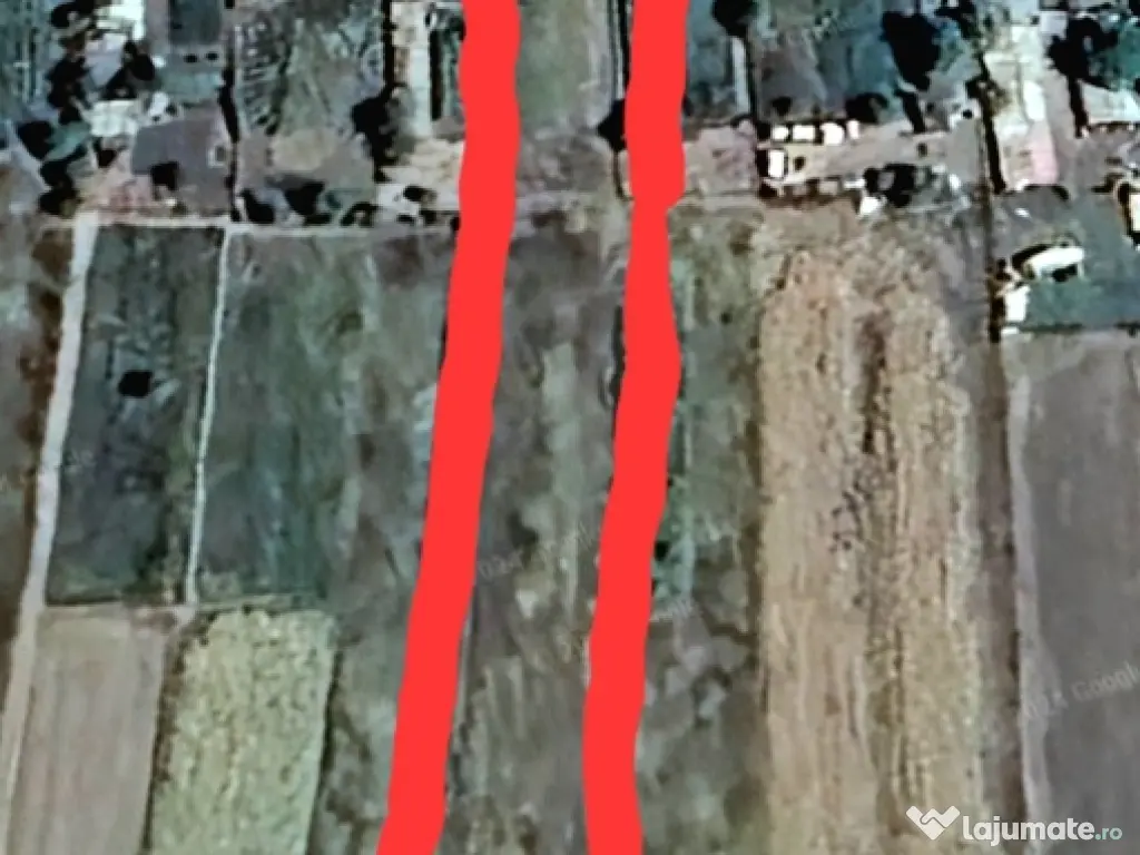 🔥 TEREN 3000 MP LÂNGĂ DUNĂRE + PĂDURE | DESCHIDERE DN31 🔥 