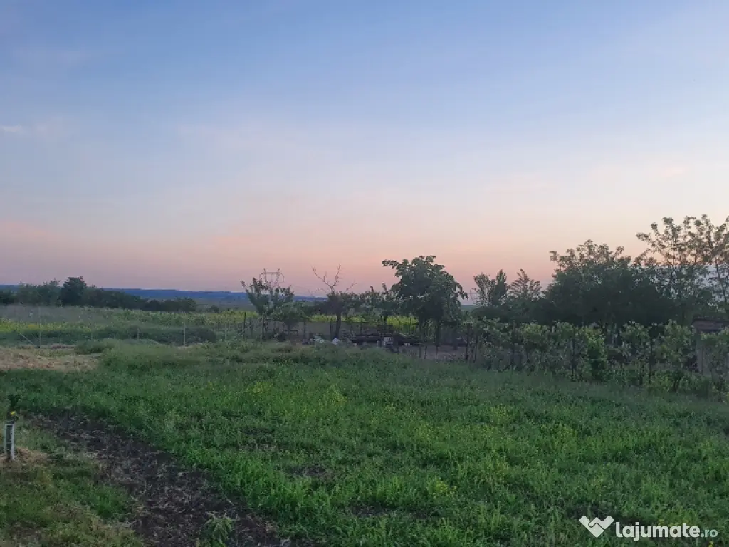 🔥 TEREN 3000 MP LÂNGĂ DUNĂRE + PĂDURE | DESCHIDERE DN31 🔥 