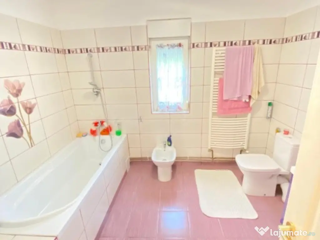 CASA 3 CAMERE - SOFRONEA( 10 km de Arad ) 