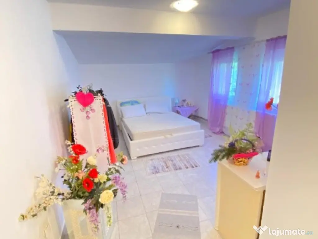 CASA 3 CAMERE - SOFRONEA( 10 km de Arad ) 