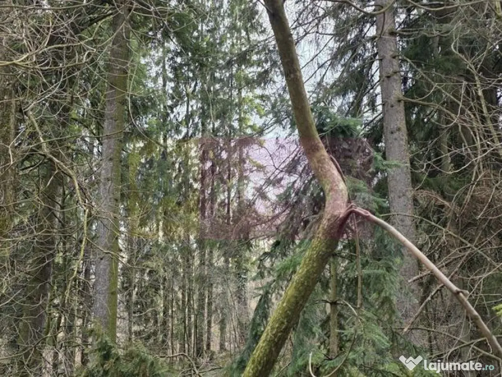 Etaj vilă istorică de vânzare în Sinaia – Zona Furnica