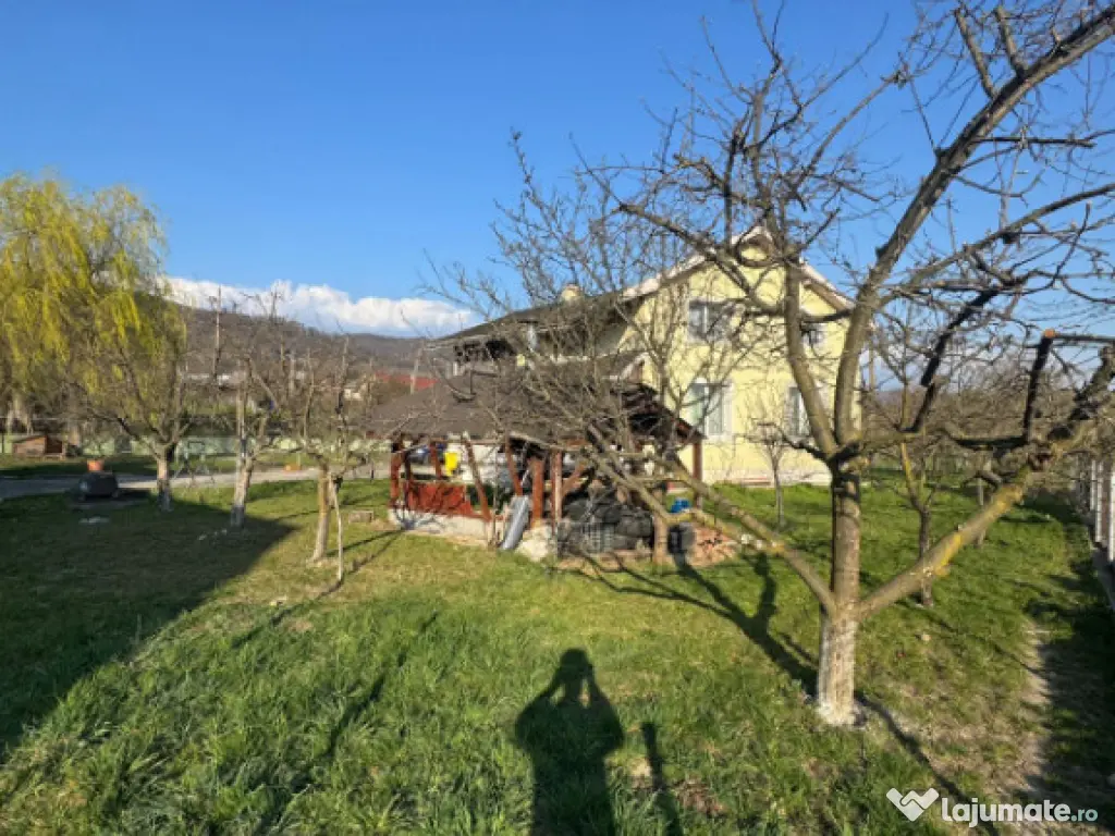 Vilă premium Tăuții de Sus, 250 mp, teren 14 ari, tenis & 