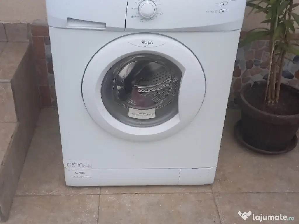 Vând pui ciobănesc german 