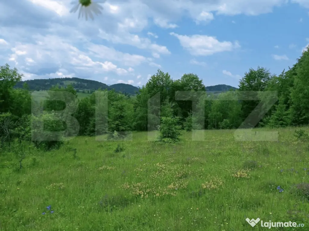 Teren intravilan de vânzare, 30.121 mp, Trâncești, Scări 