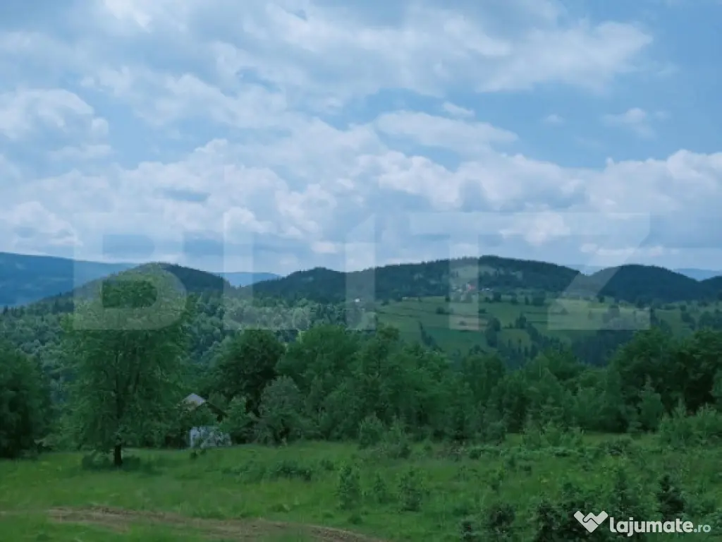 Teren intravilan de vânzare, 30.121 mp, Trâncești, Scări 