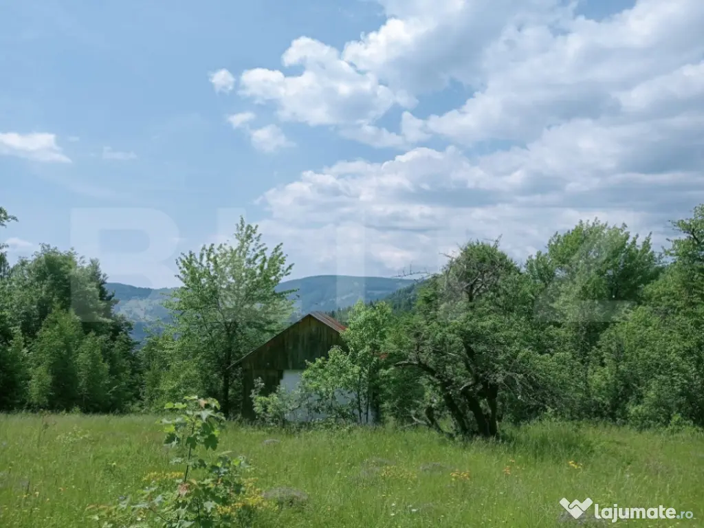 Teren intravilan de vânzare, 30.121 mp, Trâncești, Scări 