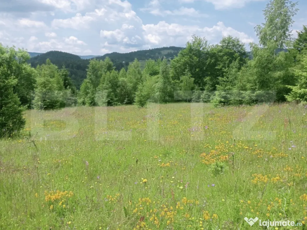 Teren intravilan de vânzare, 30.121 mp, Trâncești, Scări 