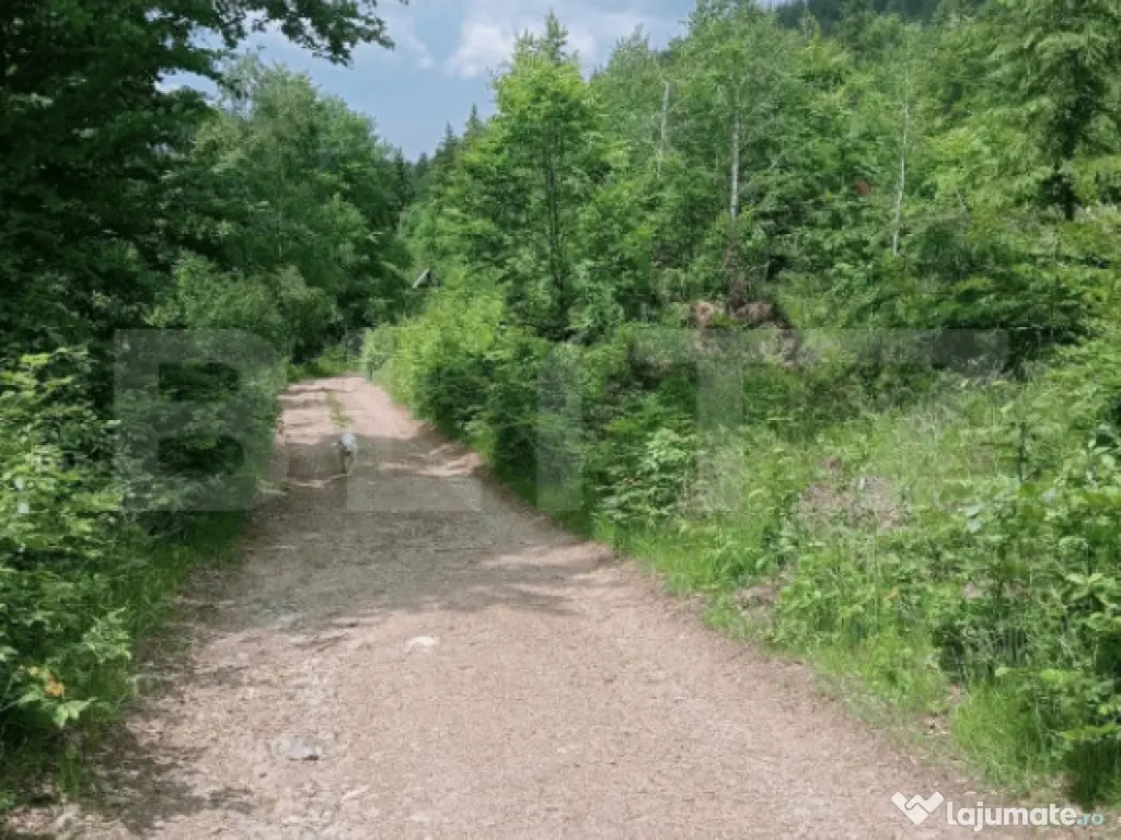 Teren intravilan de vânzare, 30.121 mp, Trâncești, Scări 