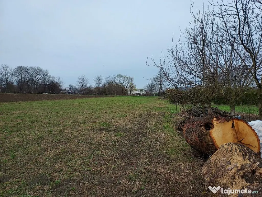 Teren de vanzare (langa padure si zona de agrement + helesteu) 