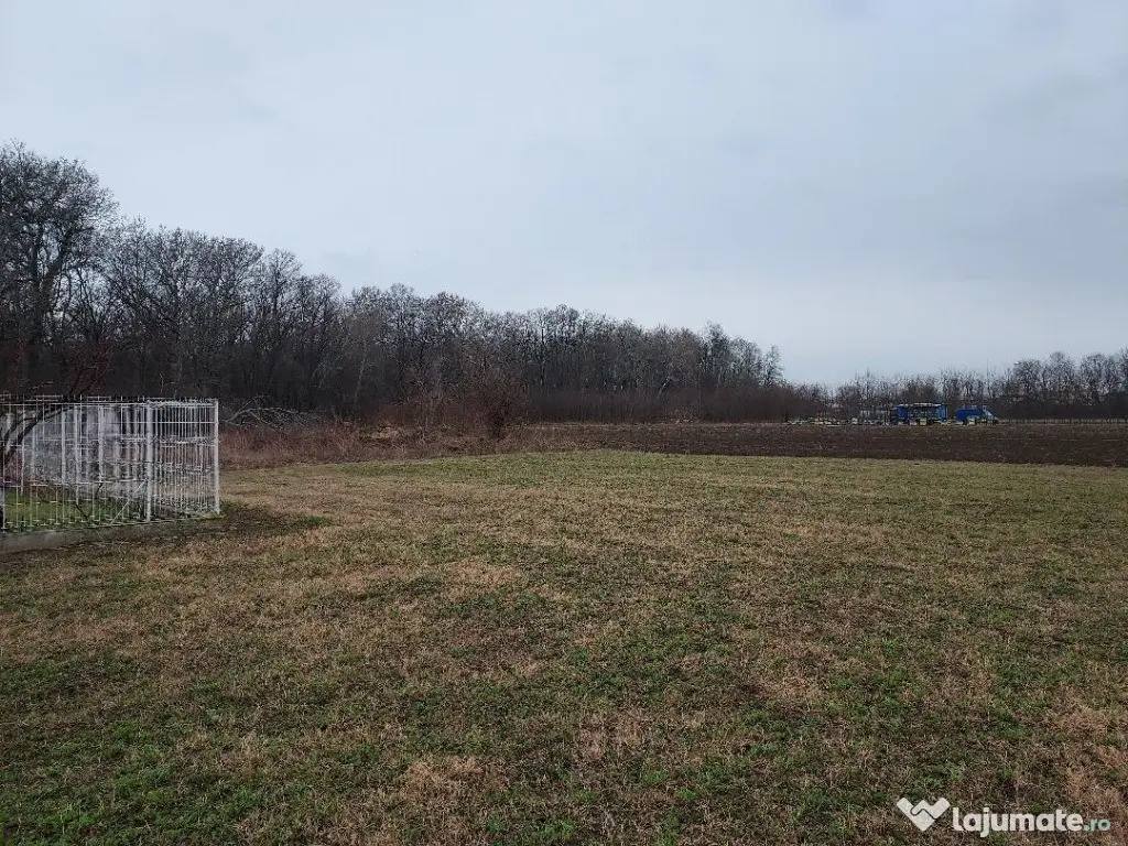 Teren de vanzare (langa padure si zona de agrement + helesteu) 