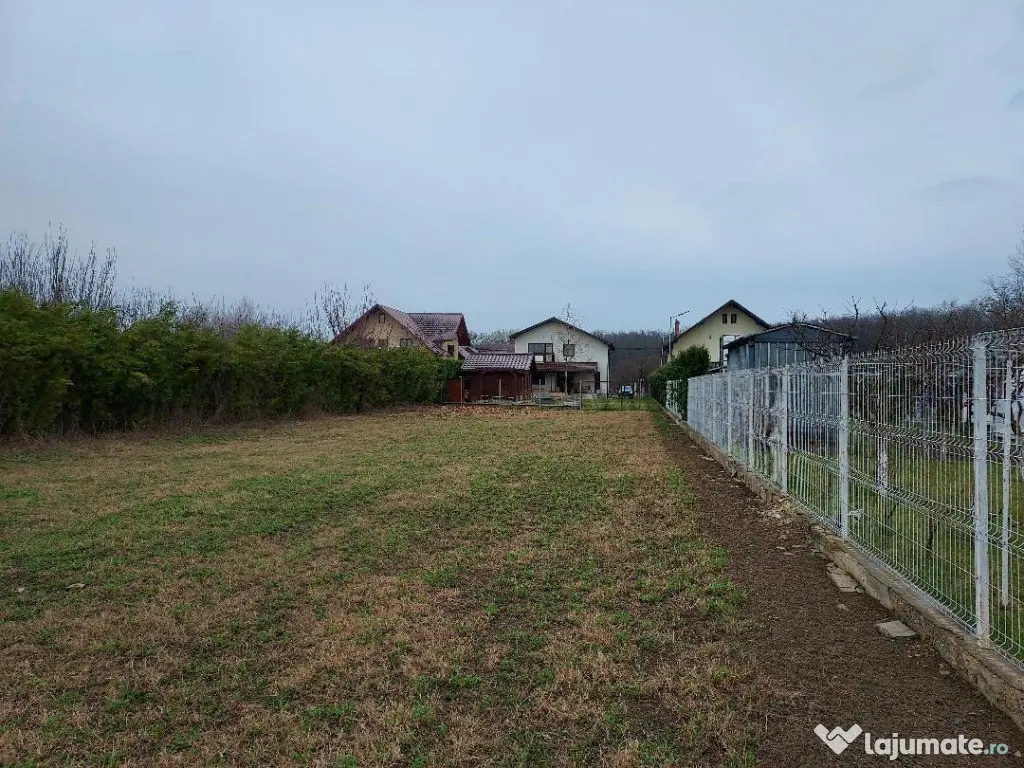 Teren de vanzare (langa padure si zona de agrement + helesteu) 