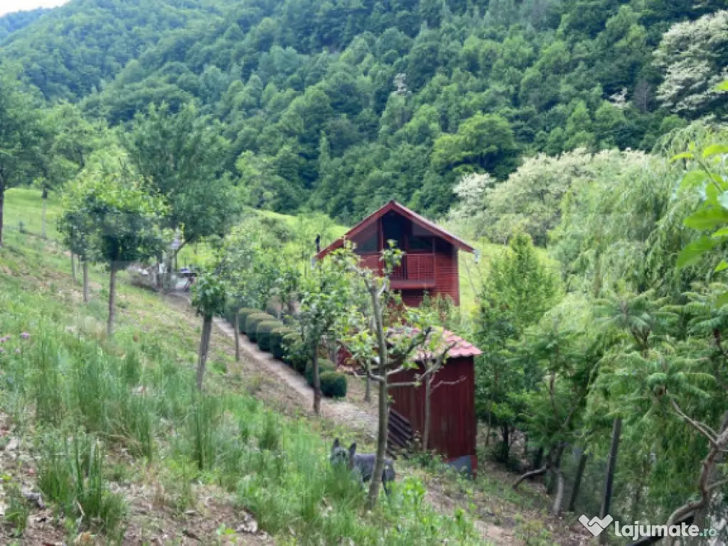 Casa de vacanta cu 4 camere, 1470 mp teren, Sugag 