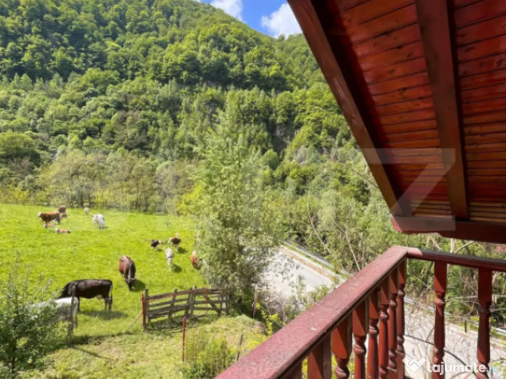 Casa de vacanta cu 4 camere, 1470 mp teren, Sugag 