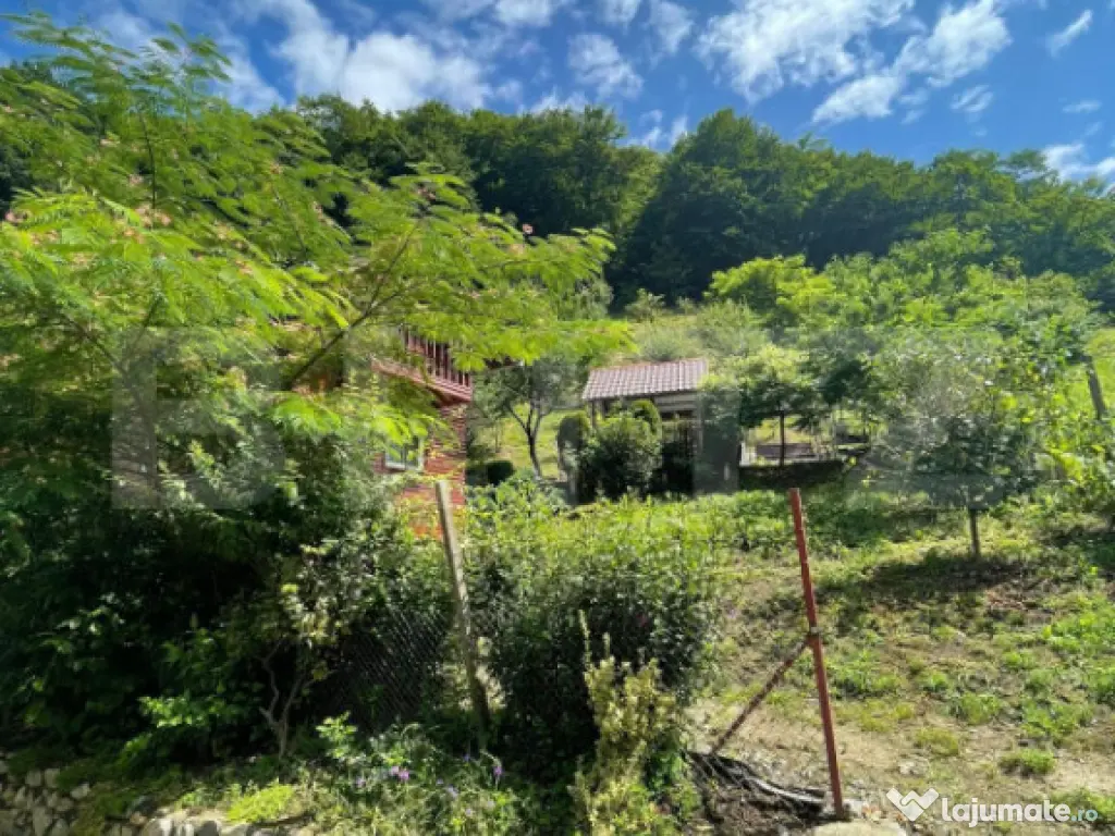 Casa de vacanta cu 4 camere, 1470 mp teren, Sugag 