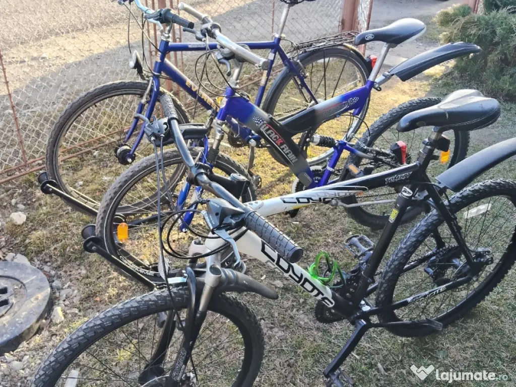 bicicleta/biciclete pentru toate varstele 