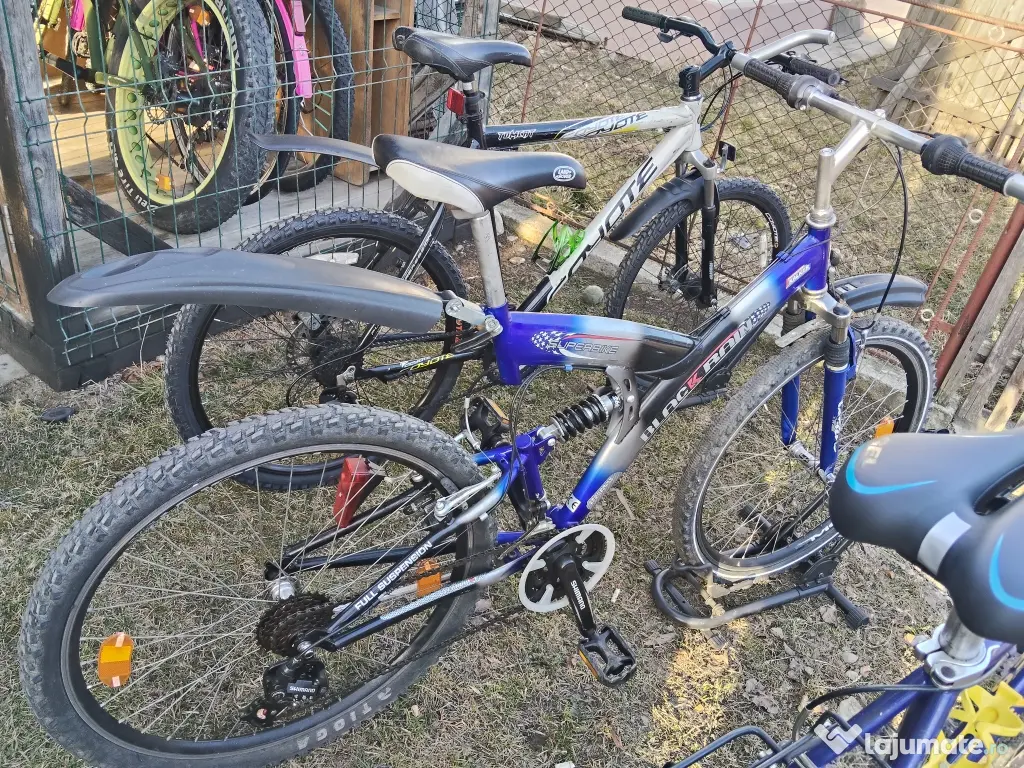 bicicleta/biciclete pentru toate varstele 