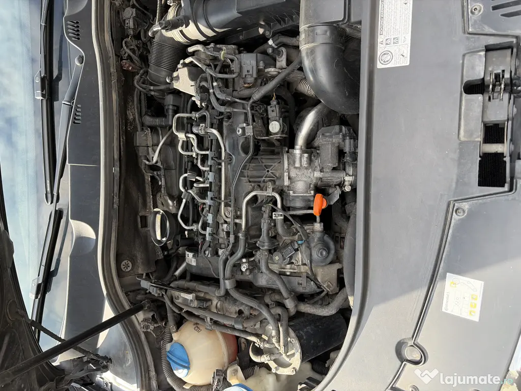 Mecanic-diagnoză domiciliu 