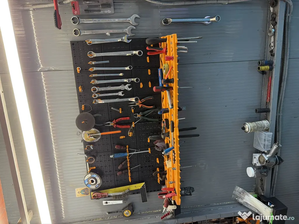 Mecanic-diagnoză domiciliu 