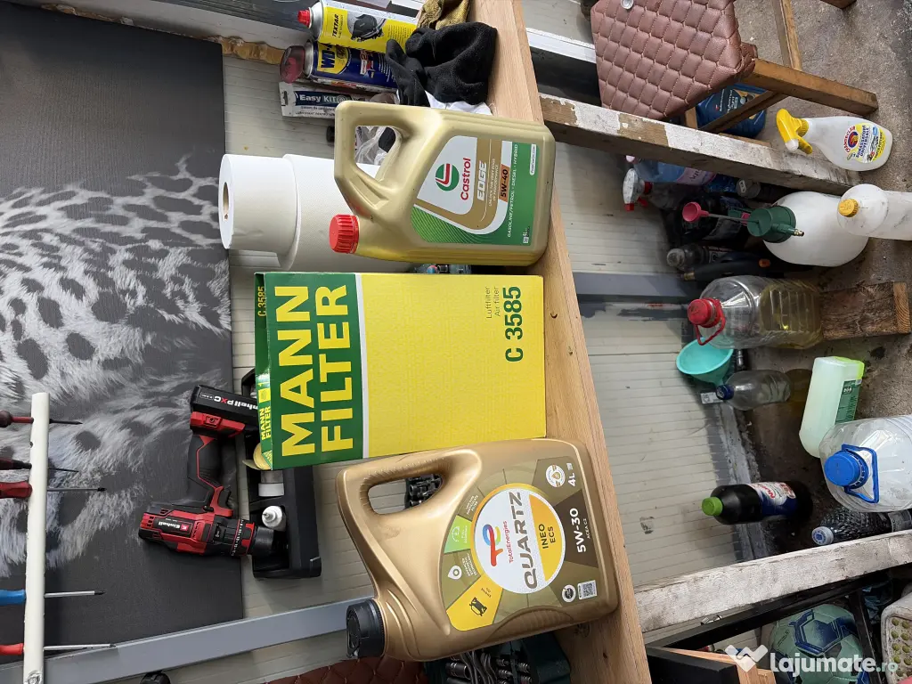 Mecanic-diagnoză domiciliu 