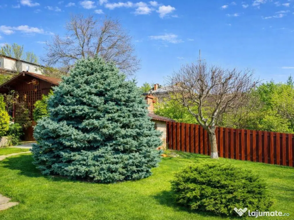 Vilă cu 7 camere și 825 mp teren în cartierul Bucium-Iasi 