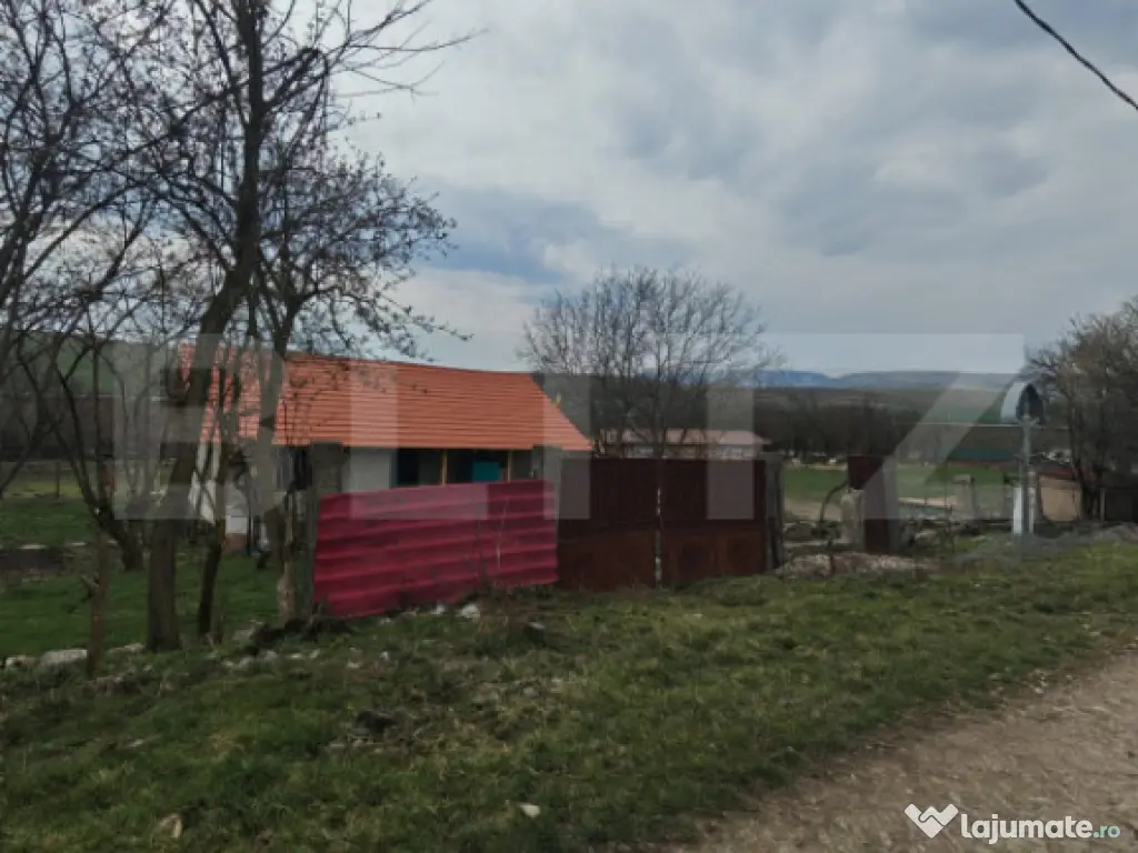 Teren intravilan 5000 mp si casa in constructie in Sandulest 