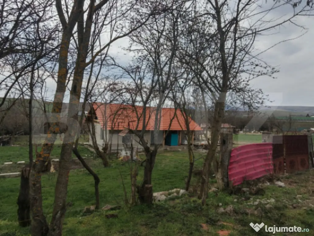 Teren intravilan 5000 mp si casa in constructie in Sandulest 