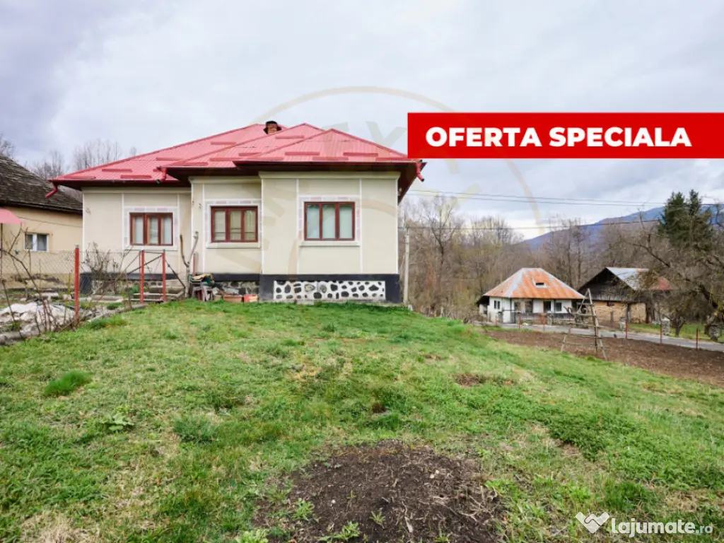Casa la munte cu teren generos in Com. Nucsoara, loc. Slat 