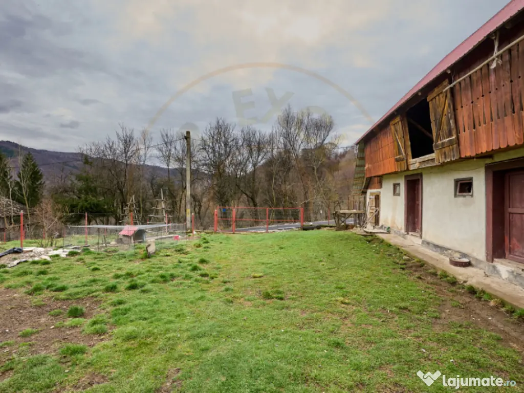 Casa la munte cu teren generos in Com. Nucsoara, loc. Slat 