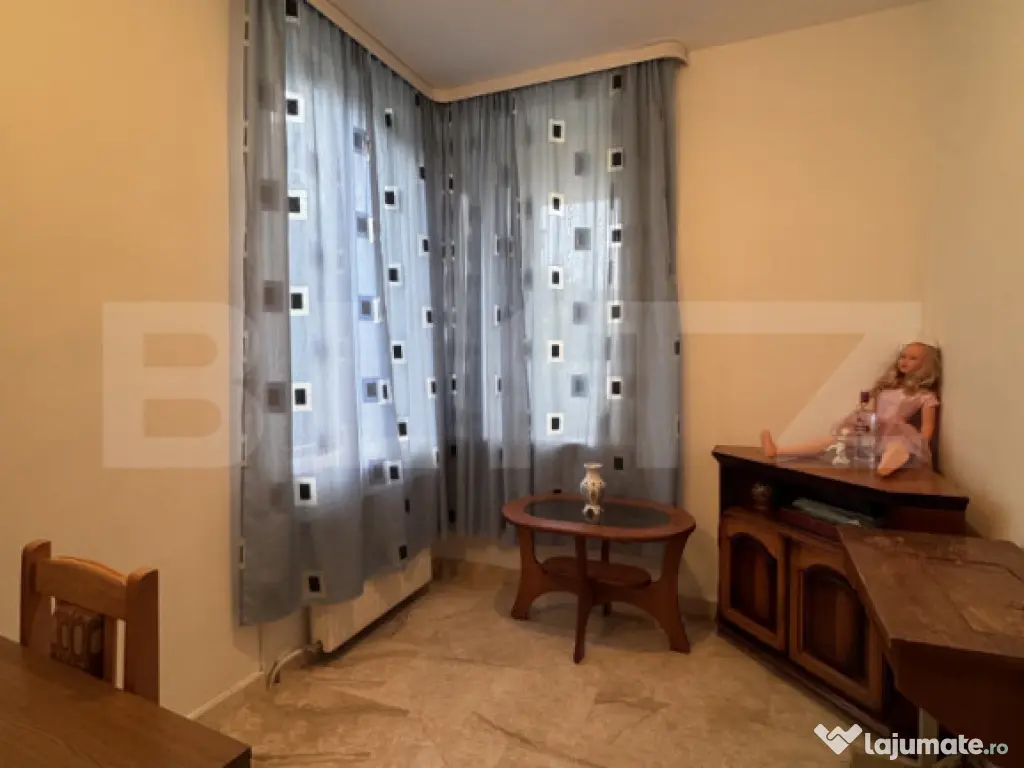 Casa S+P+E+M, 230 mp teren, Puskin 