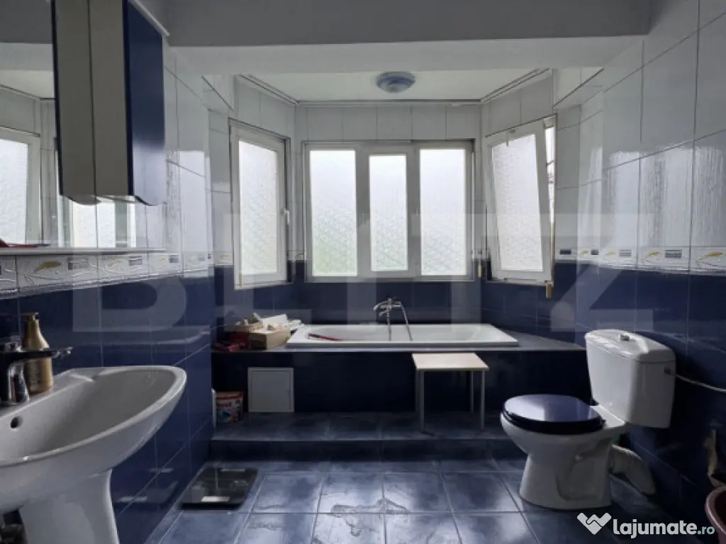 Casa S+P+E+M, 230 mp teren, Puskin 