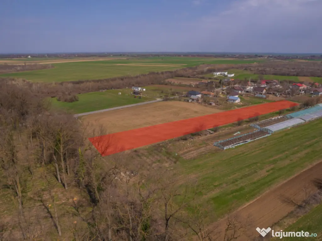 NUCI - BALTA NEAGRA, LOT 3900 MP, LA PADURE! 