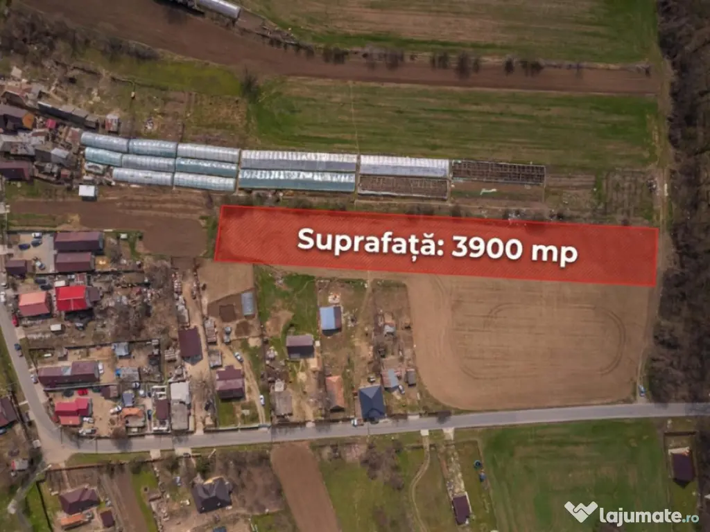 NUCI - BALTA NEAGRA, LOT 3900 MP, LA PADURE! 