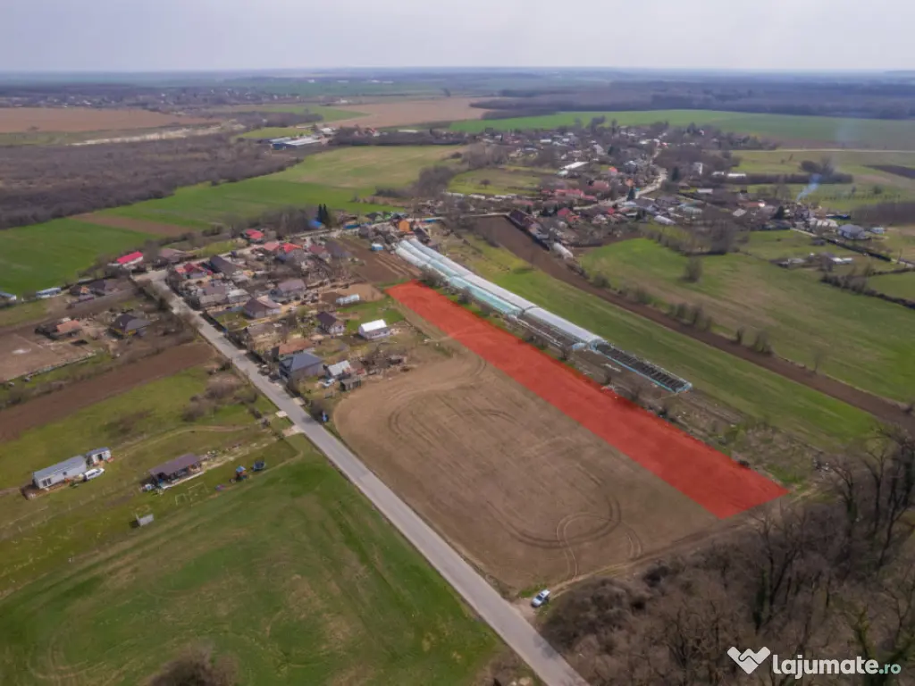 NUCI - BALTA NEAGRA, LOT 3900 MP, LA PADURE! 