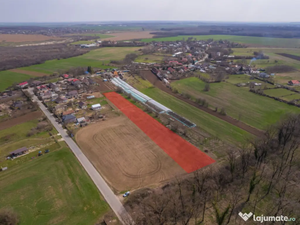 NUCI - BALTA NEAGRA, LOT 3900 MP, LA PADURE! 