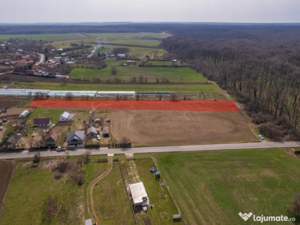 NUCI - BALTA NEAGRA, LOT 3900 MP, LA PADURE! 