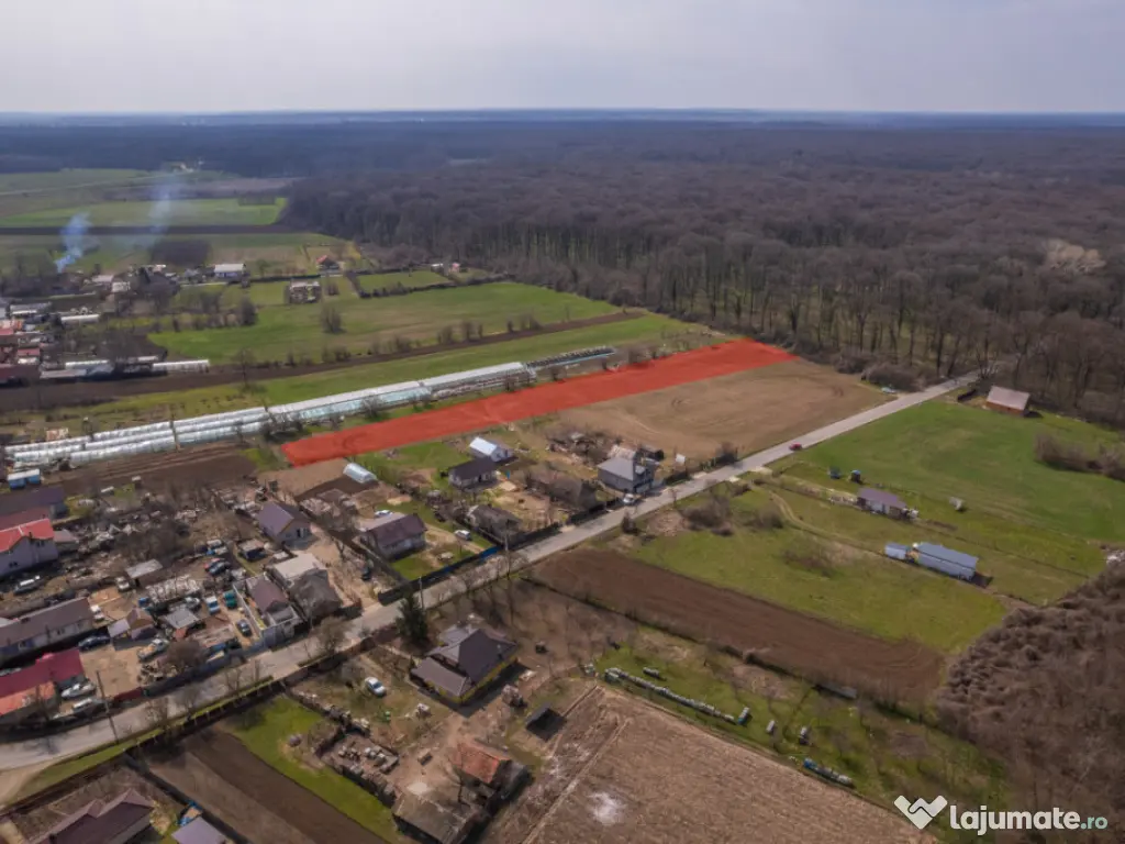 NUCI - BALTA NEAGRA, LOT 3900 MP, LA PADURE! 