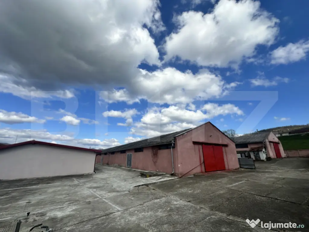 Parc industrial Bârsãu (HALE-BIROURI-APARTAMENT DE LOCUIT- 