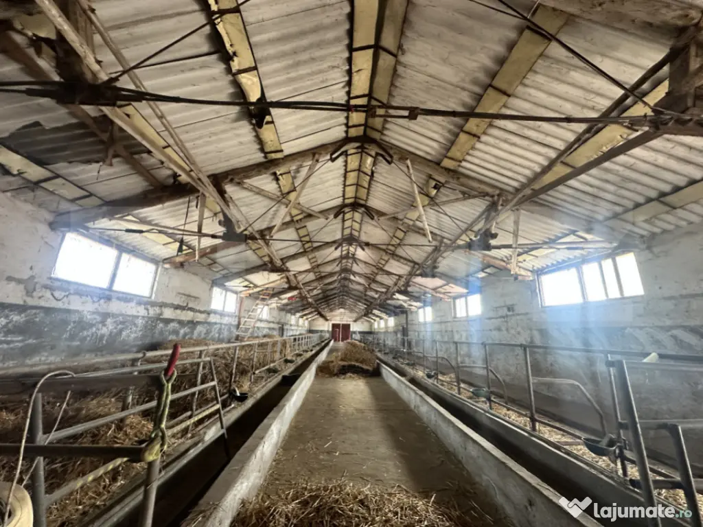 Parc industrial Bârsãu (HALE-BIROURI-APARTAMENT DE LOCUIT- 