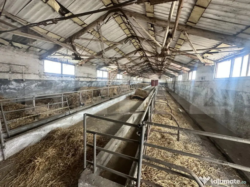 Parc industrial Bârsãu (HALE-BIROURI-APARTAMENT DE LOCUIT- 