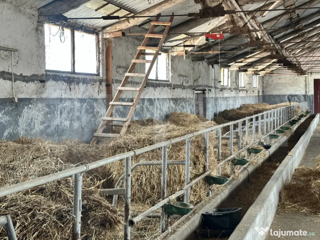 Parc industrial Bârsãu (HALE-BIROURI-APARTAMENT DE LOCUIT- 