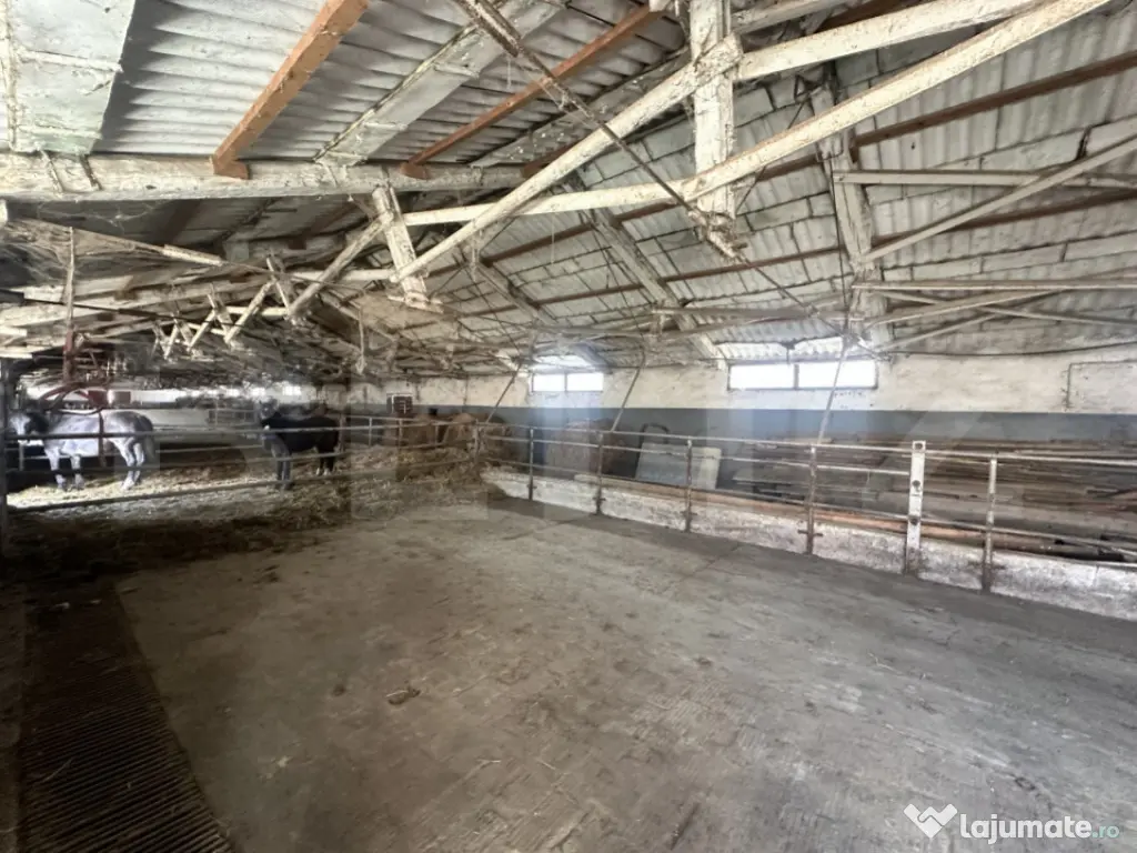 Parc industrial Bârsãu (HALE-BIROURI-APARTAMENT DE LOCUIT- 