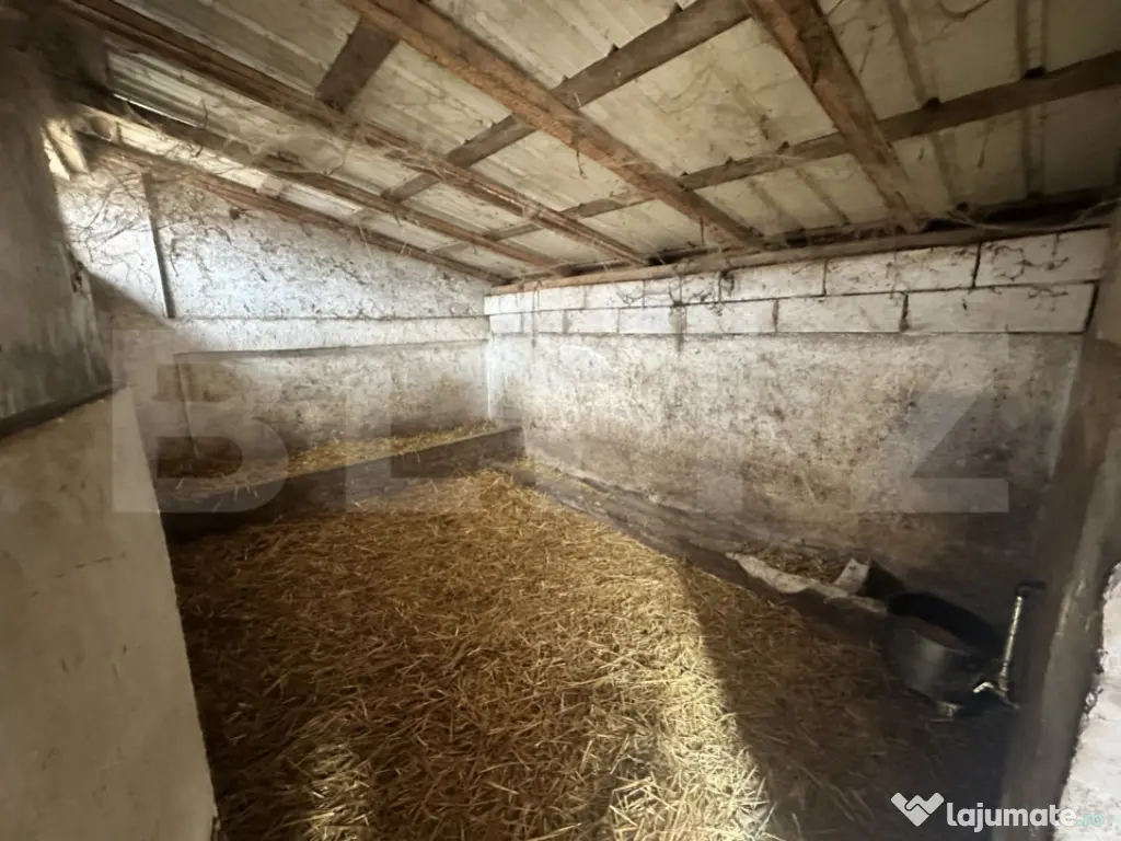 Parc industrial Bârsãu (HALE-BIROURI-APARTAMENT DE LOCUIT- 