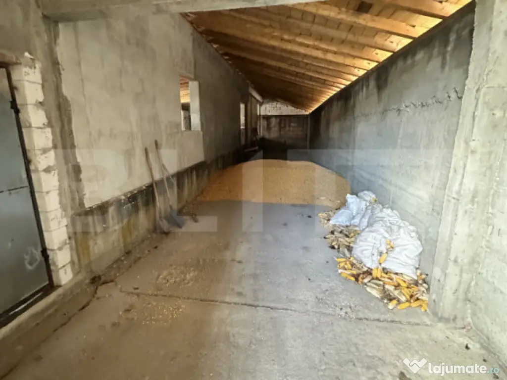 Parc industrial Bârsãu (HALE-BIROURI-APARTAMENT DE LOCUIT- 