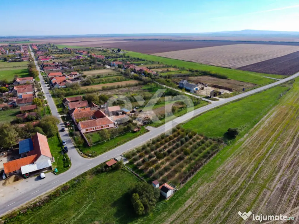 Teren cu livadă de vânzare – Sârbova, poziție excelent 