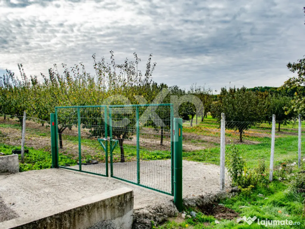 Teren cu livadă de vânzare – Sârbova, poziție excelent 