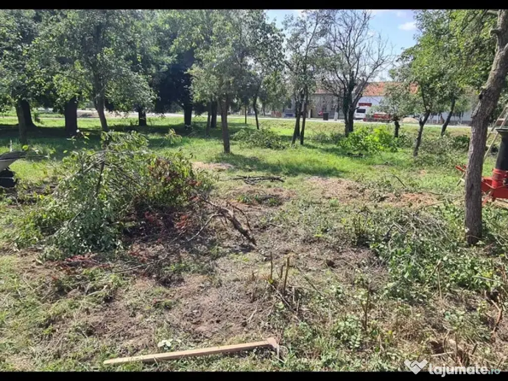 Tocător crengi, resturi vegetale 