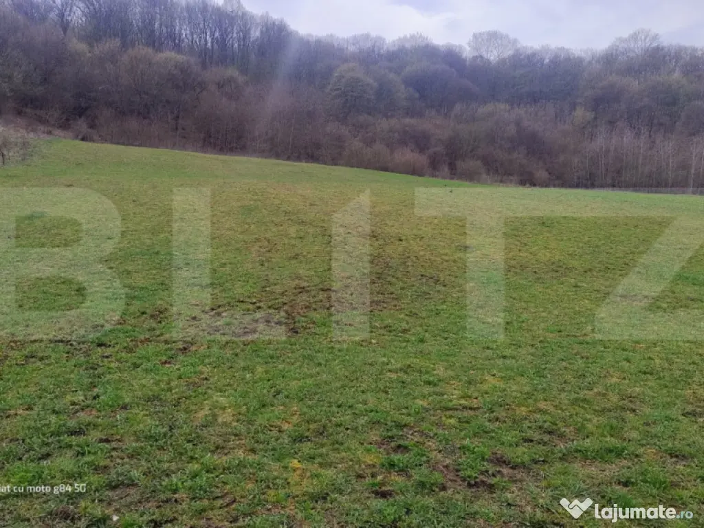 Teren superb 2.500 mp în Nicula – liniște, natură și p 